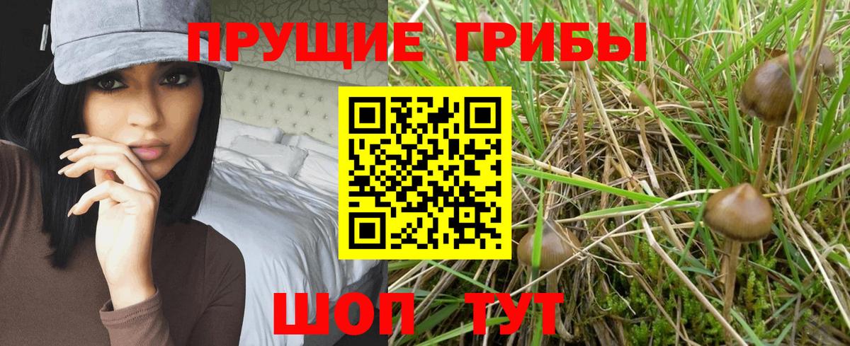 Псилоцибиновые грибы мицелий Псков