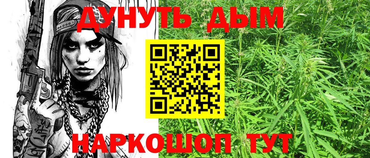 Бошки Шишки конопля  Канабис сатива  Псков  Вход с VPN  Каннабис конопля 
